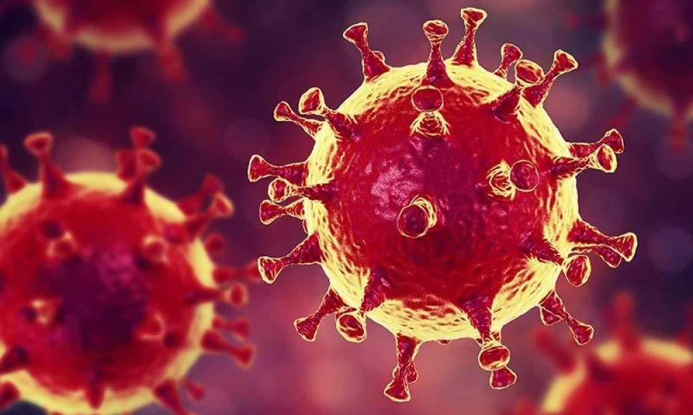 Αλυτο μυστήριο η προέλευση του κορονοϊού